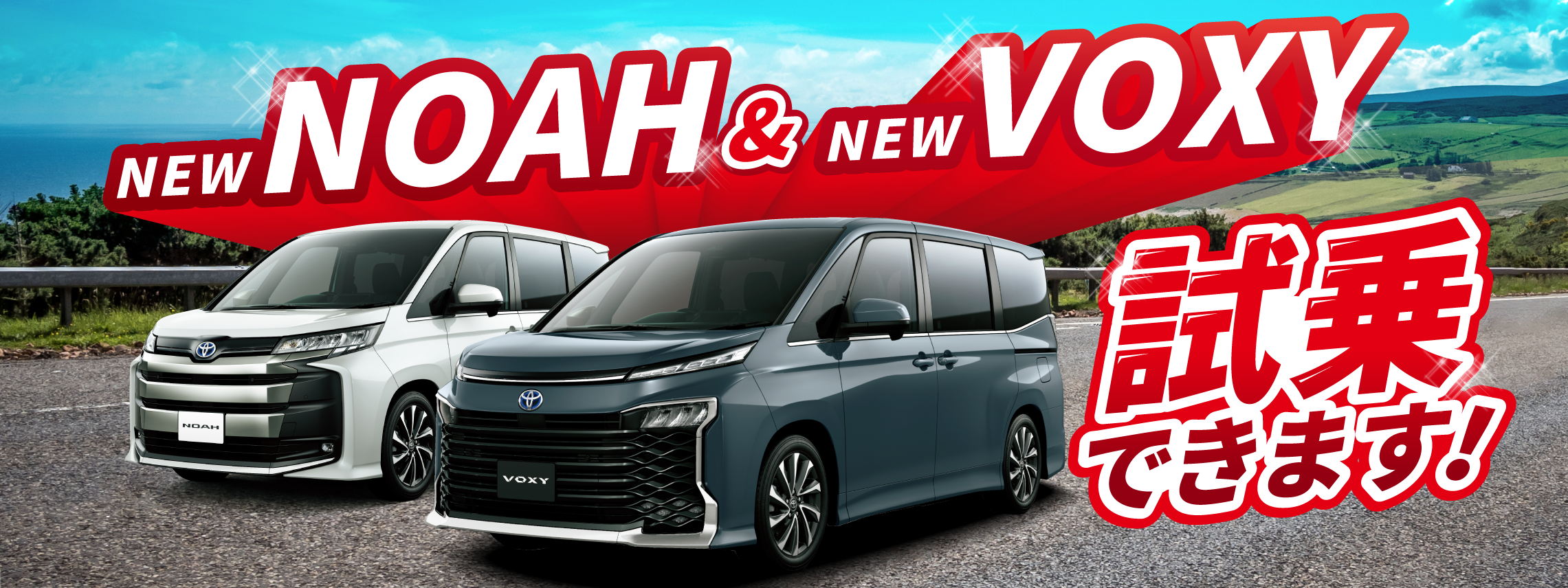 noahvoxy_01banner