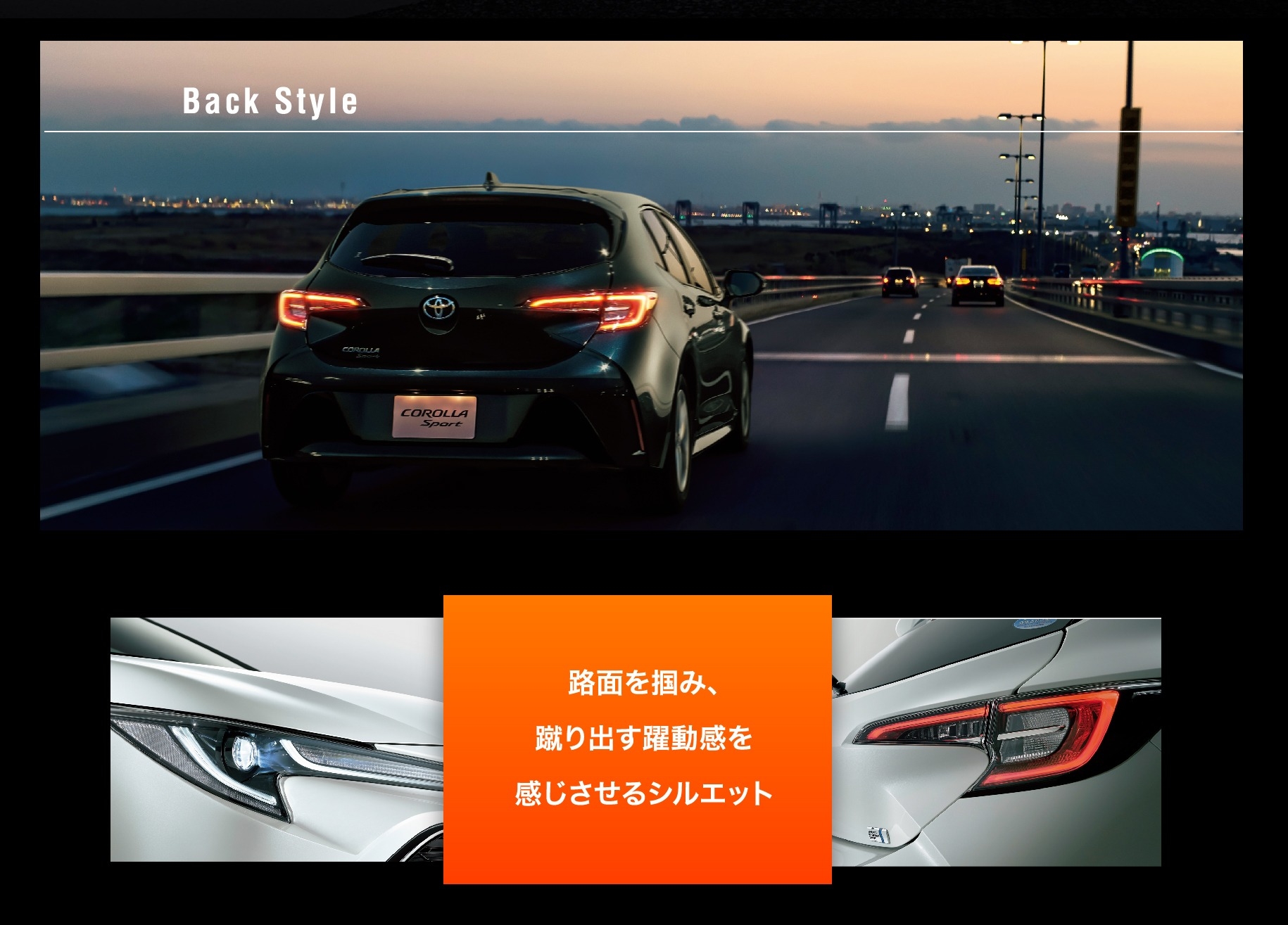 HB発表_3