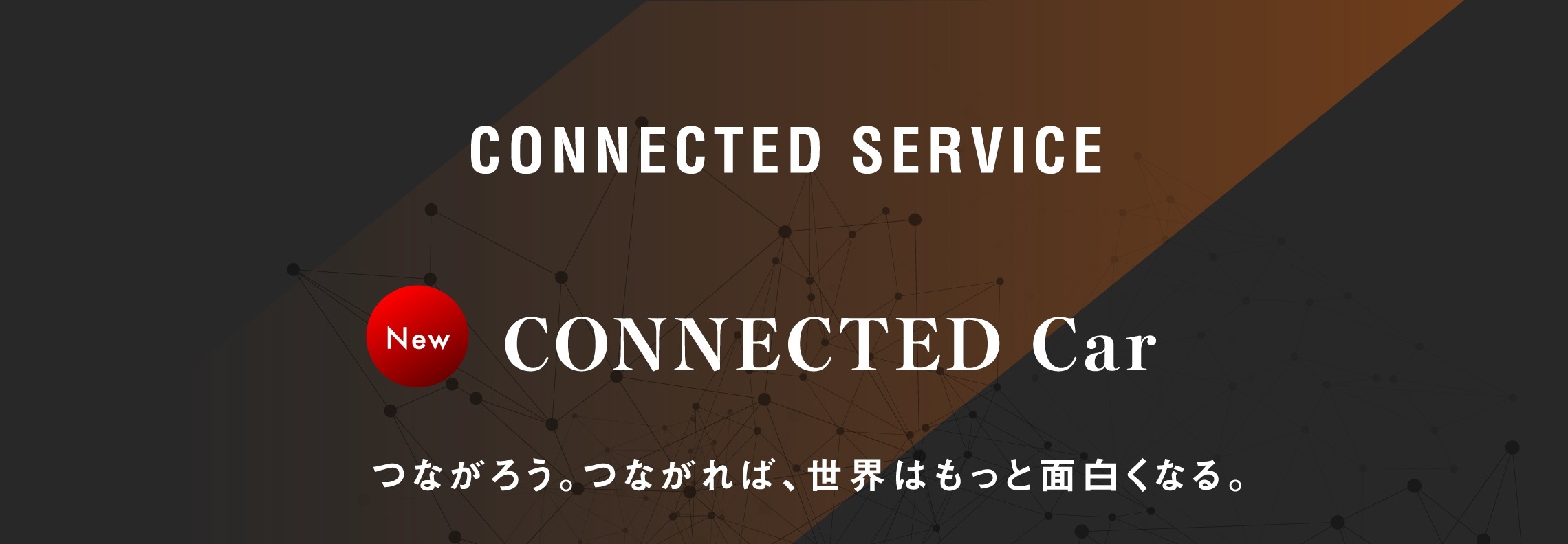 HB発表_7